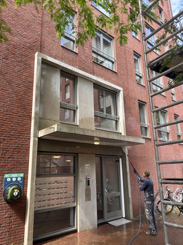 Reinigen van de entree