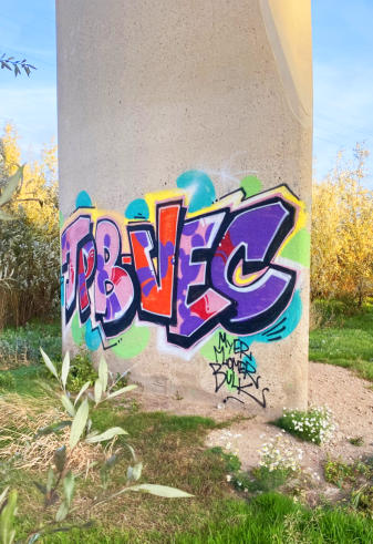 Graffiti verwijderen 7