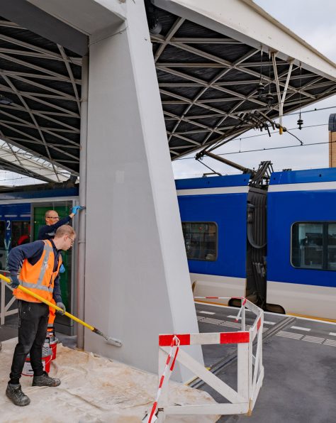Station Tilburg keimen van betonnen pilaar